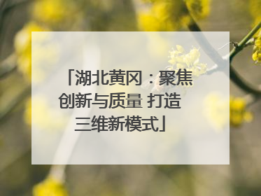 湖北黄冈：聚焦创新与质量 打造三维新模式