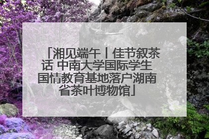 湘见端午丨佳节叙茶话 中南大学国际学生国情教育基地落户湖南省茶叶博物馆