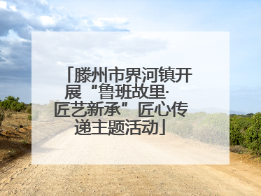 滕州市界河镇开展“鲁班故里· 匠艺新承”匠心传递主题活动