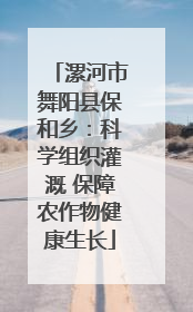 漯河市舞阳县保和乡：科学组织灌溉 保障农作物健康生长