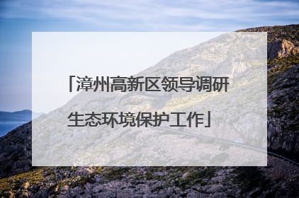 漳州高新区领导调研生态环境保护工作