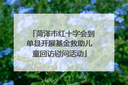 菏泽市红十字会到单县开展基金救助儿童回访慰问活动