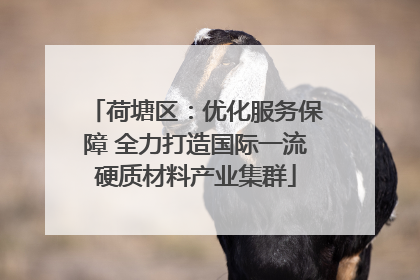 荷塘区：优化服务保障 全力打造国际一流硬质材料产业集群