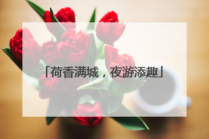 荷香满城，夜游添趣
