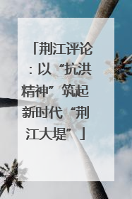 荆江评论：以“抗洪精神”筑起新时代“荆江大堤”