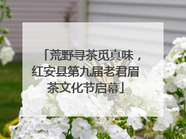 荒野寻茶觅真味，红安县第九届老君眉茶文化节启幕