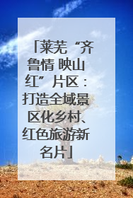 莱芜“齐鲁情 映山红”片区：打造全域景区化乡村、红色旅游新名片