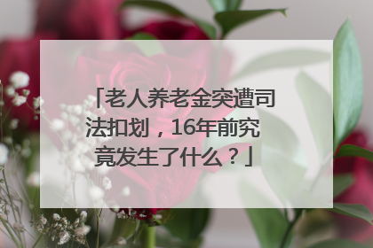 老人养老金突遭司法扣划，16年前究竟发生了什么？