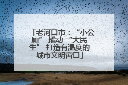 老河口市：“小公厕” 撬动 “大民生” 打造有温度的城市文明窗口