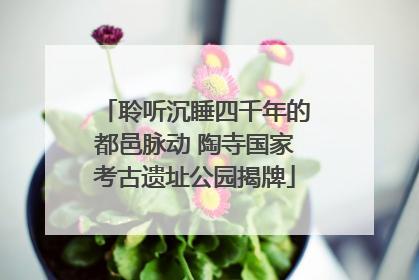 聆听沉睡四千年的都邑脉动 陶寺国家考古遗址公园揭牌