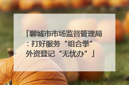 聊城市市场监督管理局：打好服务“组合拳” 外资登记“无忧办”