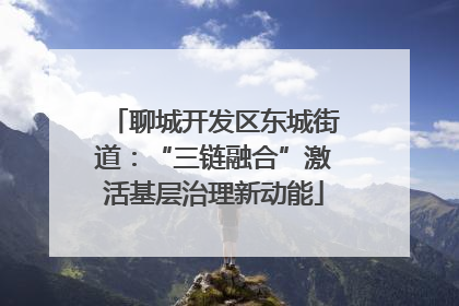 聊城开发区东城街道：“三链融合”激活基层治理新动能