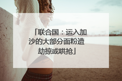 联合国：运入加沙的大部分面粉遭劫掠或哄抢