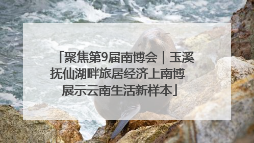 聚焦第9届南博会｜玉溪抚仙湖畔旅居经济上南博 展示云南生活新样本