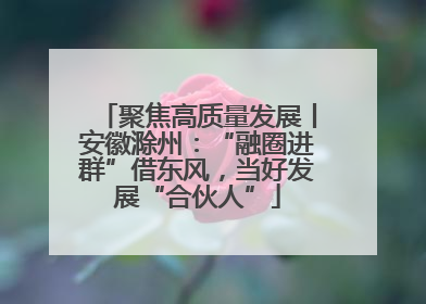 聚焦高质量发展丨安徽滁州：“融圈进群”借东风，当好发展“合伙人”