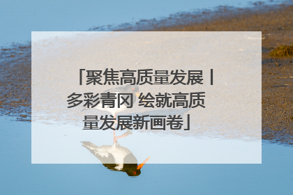 聚焦高质量发展丨多彩青冈 绘就高质量发展新画卷