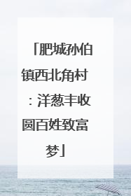 肥城孙伯镇西北角村：洋葱丰收圆百姓致富梦