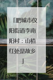 肥城市仪阳街道李南阳村：山楂红处是故乡