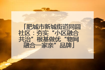 肥城市新城街道同圆社区：夯实“小区融合共治”根基做优“物网融合一家亲”品牌