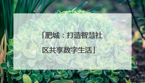 肥城：打造智慧社区共享数字生活