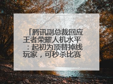 腾讯副总裁回应王者荣耀人机水平：起初为顶替掉线玩家，可秒杀比赛级玩家