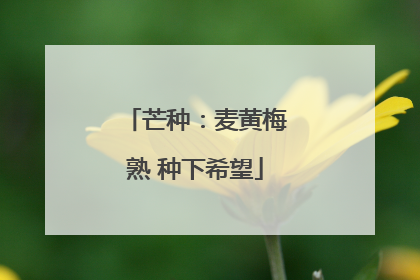 芒种：麦黄梅熟 种下希望