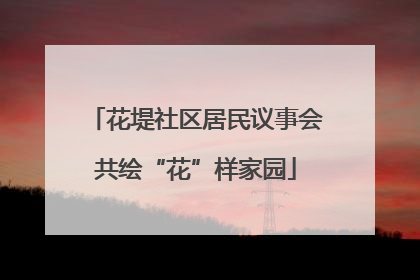 花堤社区居民议事会共绘“花”样家园