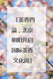 茶香四溢，北京朝阳开启国际茶香文化周