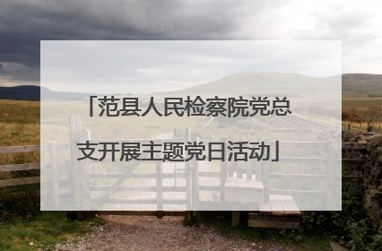 范县人民检察院党总支开展主题党日活动