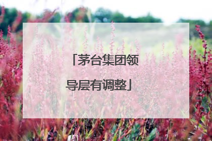 茅台集团领导层有调整