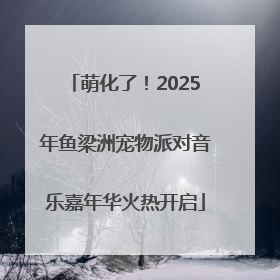 萌化了！2025年鱼梁洲宠物派对音乐嘉年华火热开启