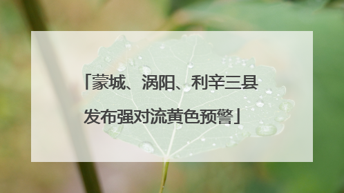 蒙城、涡阳、利辛三县发布强对流黄色预警