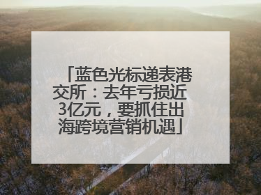 蓝色光标递表港交所：去年亏损近3亿元，要抓住出海跨境营销机遇