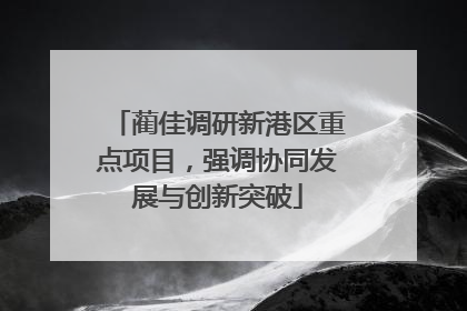 蔺佳调研新港区重点项目，强调协同发展与创新突破
