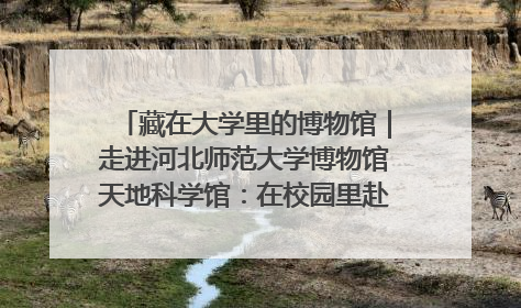 藏在大学里的博物馆｜走进河北师范大学博物馆天地科学馆：在校园里赴一场“宇宙之约”