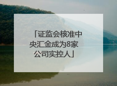 证监会核准中央汇金成为8家公司实控人