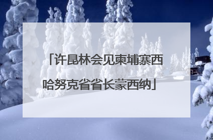 许昆林会见柬埔寨西哈努克省省长蒙西纳