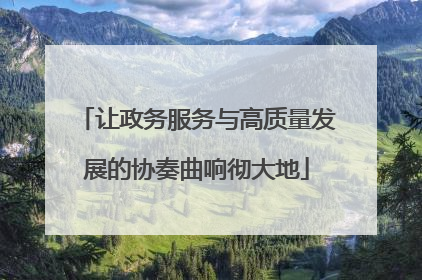 让政务服务与高质量发展的协奏曲响彻大地