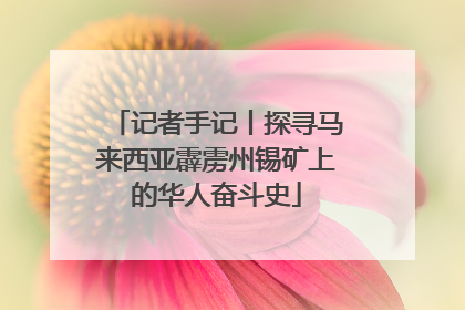 记者手记丨探寻马来西亚霹雳州锡矿上的华人奋斗史