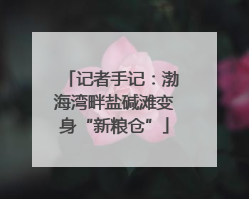 记者手记：渤海湾畔盐碱滩变身“新粮仓”