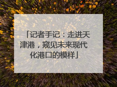 记者手记：走进天津港，窥见未来现代化港口的模样