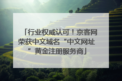 行业权威认可！京客网荣获中文域名“中文网址”黄金注册服务商