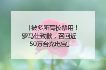 被多所高校禁用！罗马仕致歉，召回近50万台充电宝