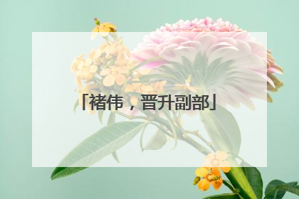 褚伟，晋升副部