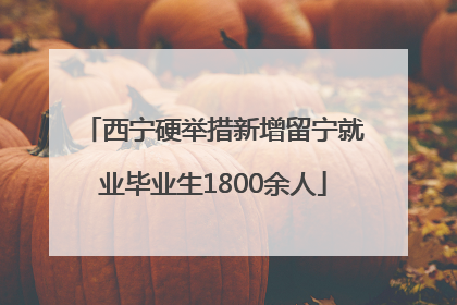西宁硬举措新增留宁就业毕业生1800余人