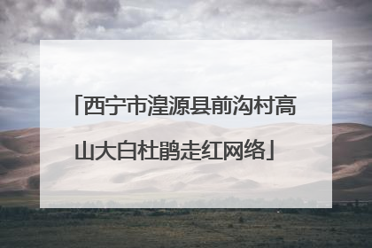 西宁市湟源县前沟村高山大白杜鹃走红网络