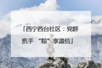 西宁西台社区：党群携手 “粽”享温情