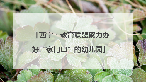 西宁：教育联盟聚力办好“家门口”的幼儿园