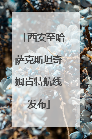 西安至哈萨克斯坦奇姆肯特航线发布