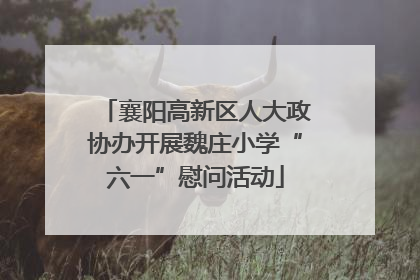 襄阳高新区人大政协办开展魏庄小学“六一”慰问活动